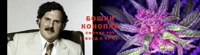 Каннабис Ganja  как найти закладки  Куса 